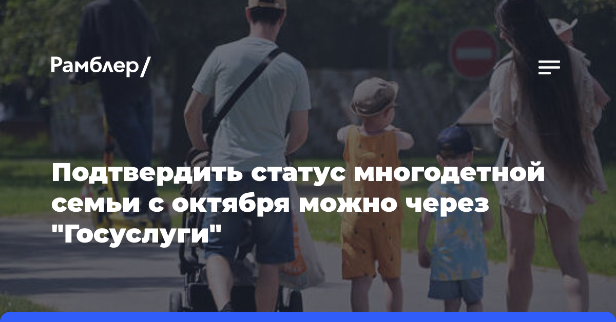 Подтвердить статус многодетной семьи с октября можно через «Госуслуги»