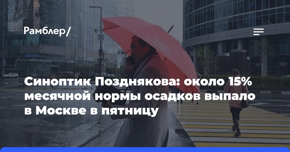 Синоптик Позднякова: около 15% месячной нормы осадков выпало в Москве в пятницу