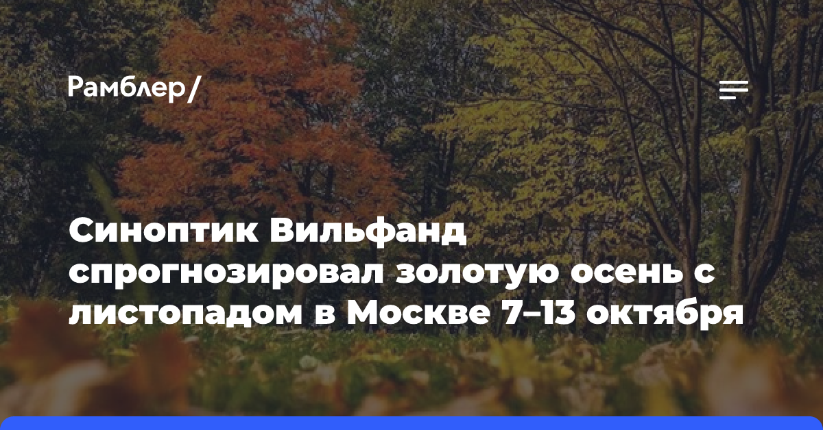 Синоптик Вильфанд спрогнозировал золотую осень с листопадом в Москве 7–13 октября