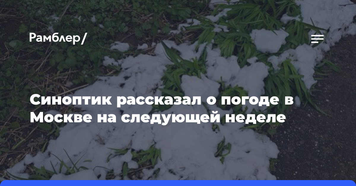 Синоптик рассказал о погоде в Москве на следующей неделе