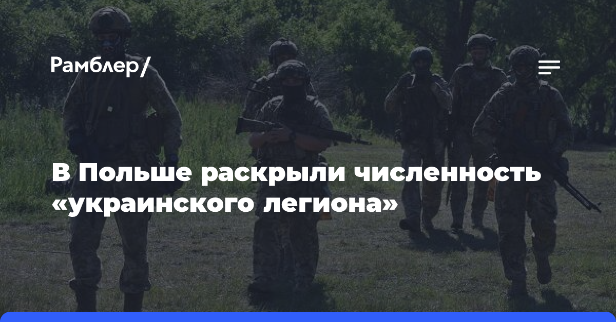 В Польше раскрыли численность «украинского легиона»