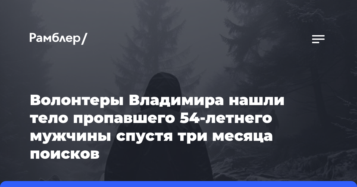 Волонтеры Владимира нашли тело пропавшего 54-летнего мужчины спустя три месяца поисков