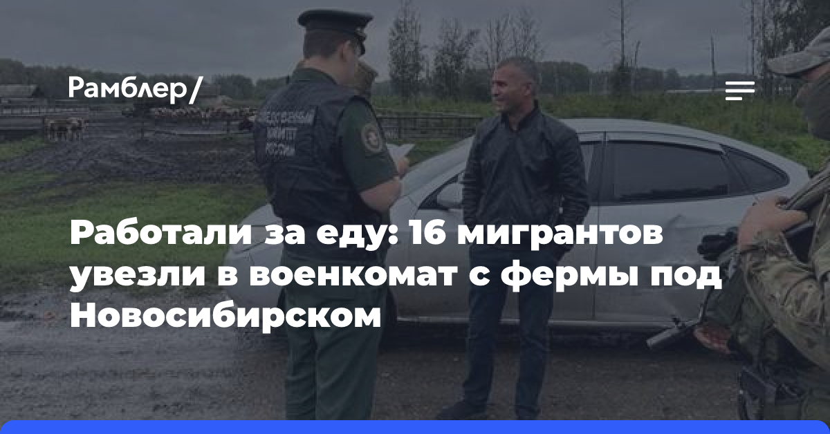 Работали за еду: 16 мигрантов увезли в военкомат с фермы под Новосибирском