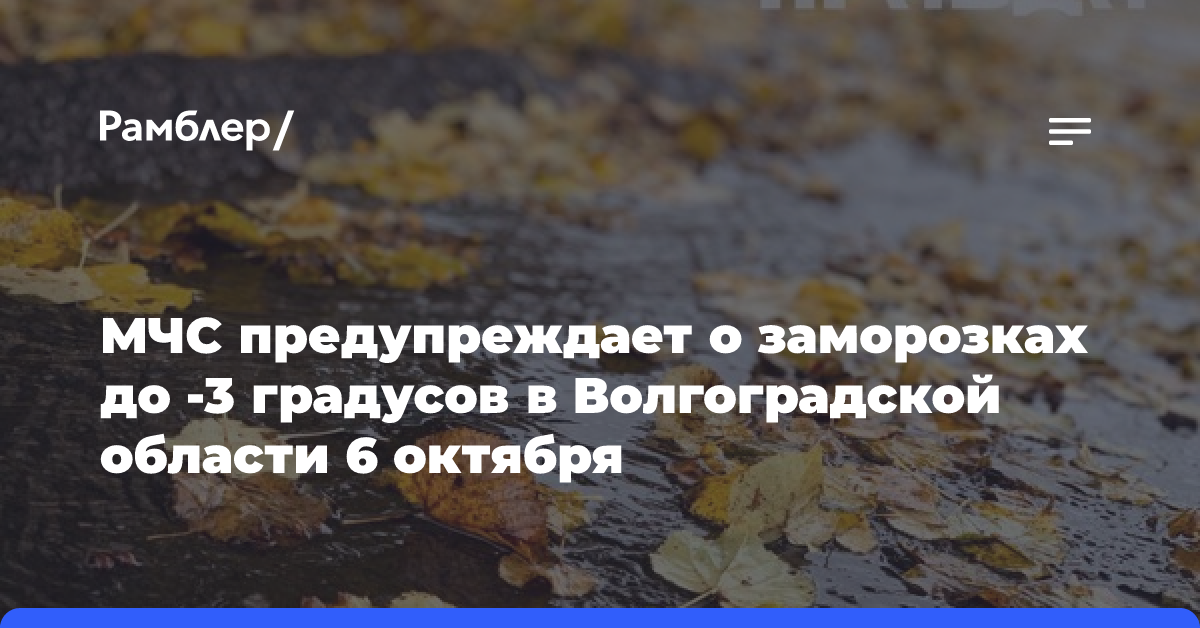 МЧС предупреждает о заморозках до -3 градусов в Волгоградской области 6 октября