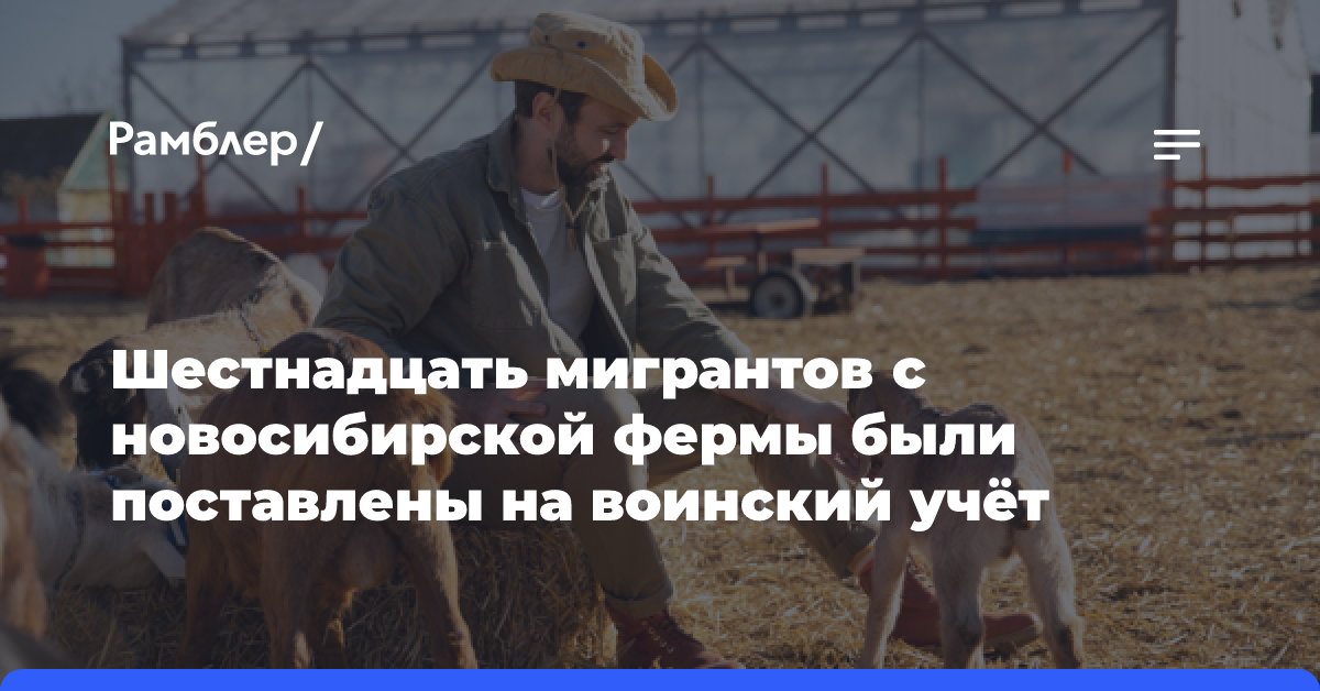 Шестнадцать мигрантов с новосибирской фермы были поставлены на воинский учёт