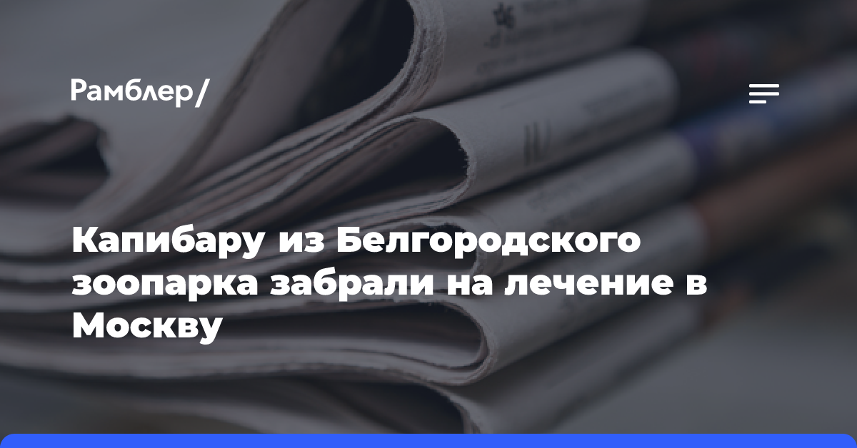 Капибару из Белгородского зоопарка забрали на лечение в Москву