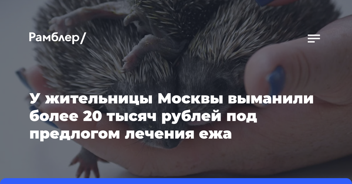 У жительницы Москвы выманили более 20 тысяч рублей под предлогом лечения ежа