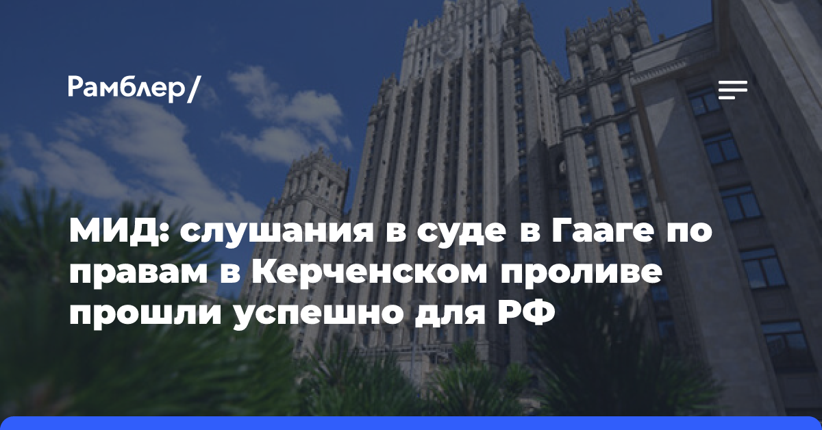 МИД: слушания в суде в Гааге по правам в Керченском проливе прошли успешно для РФ