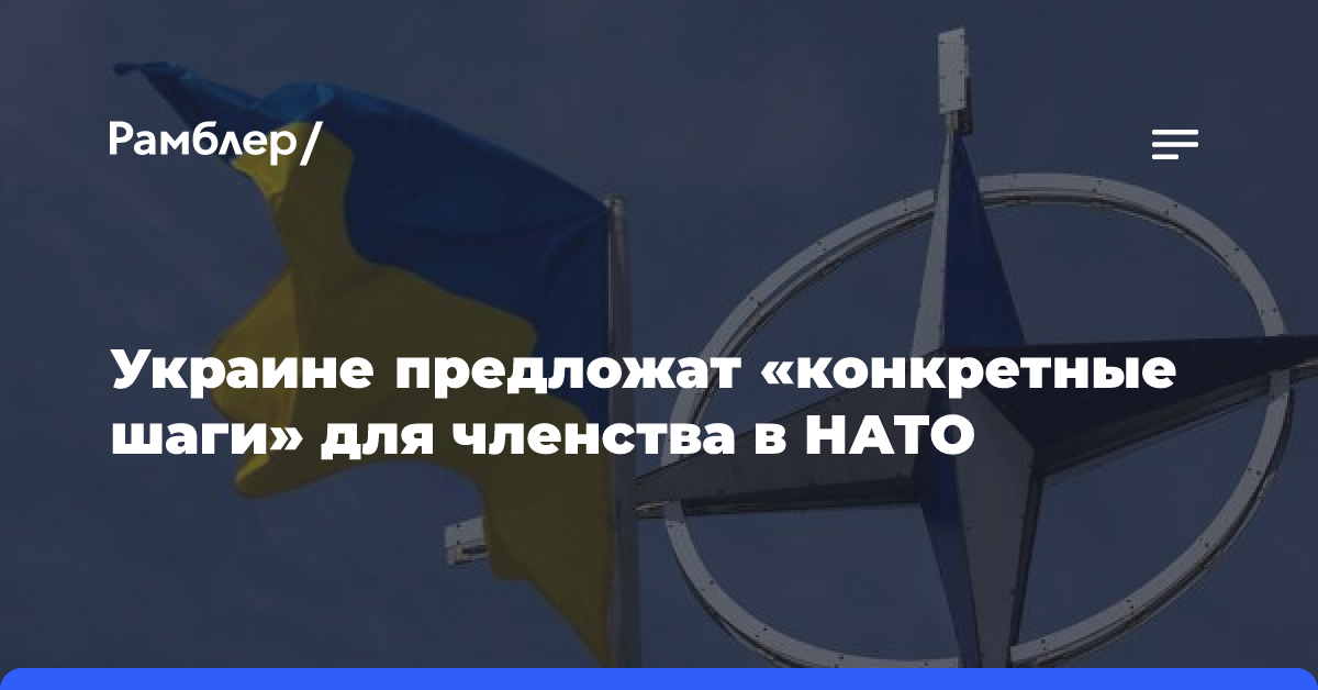 Украине предложат «конкретные шаги» для членства в НАТО