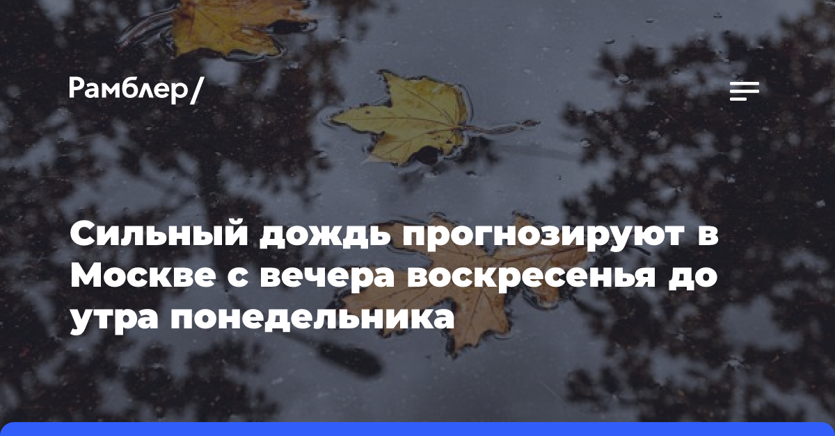 Сильный дождь прогнозируют в Москве с вечера воскресенья до утра понедельника