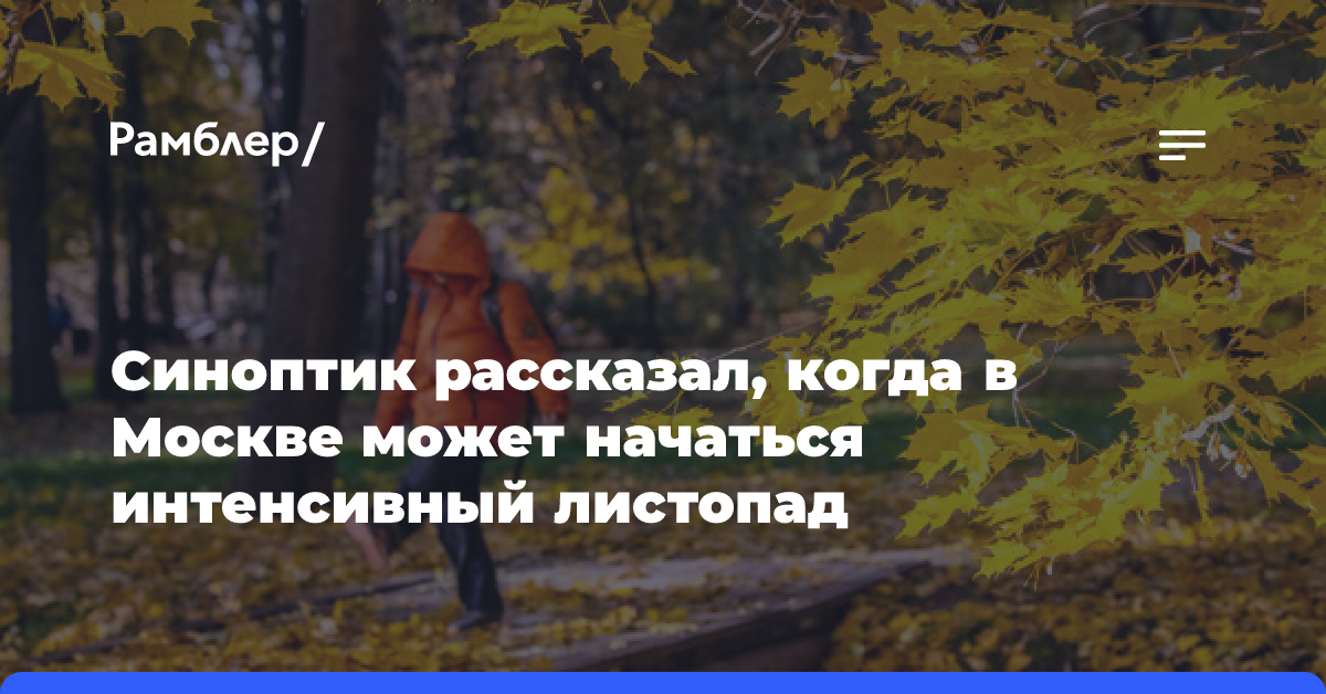 Тишковец: в Москве интенсивный листопад начнется в последней декаде октября