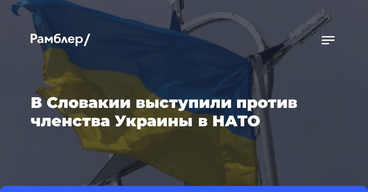 В Словакии выступили против членства Украины в НАТО