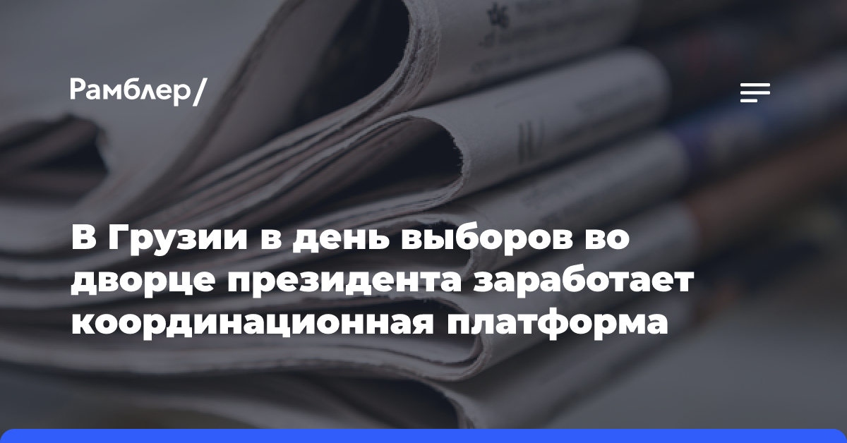 В Грузии в день выборов во дворце президента заработает координационная платформа