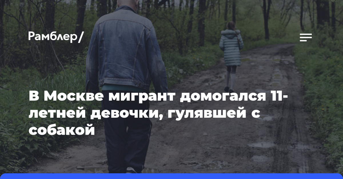 Мигрант увел 11-летнюю девочку с детской площадки и домогался ее на берегу реки