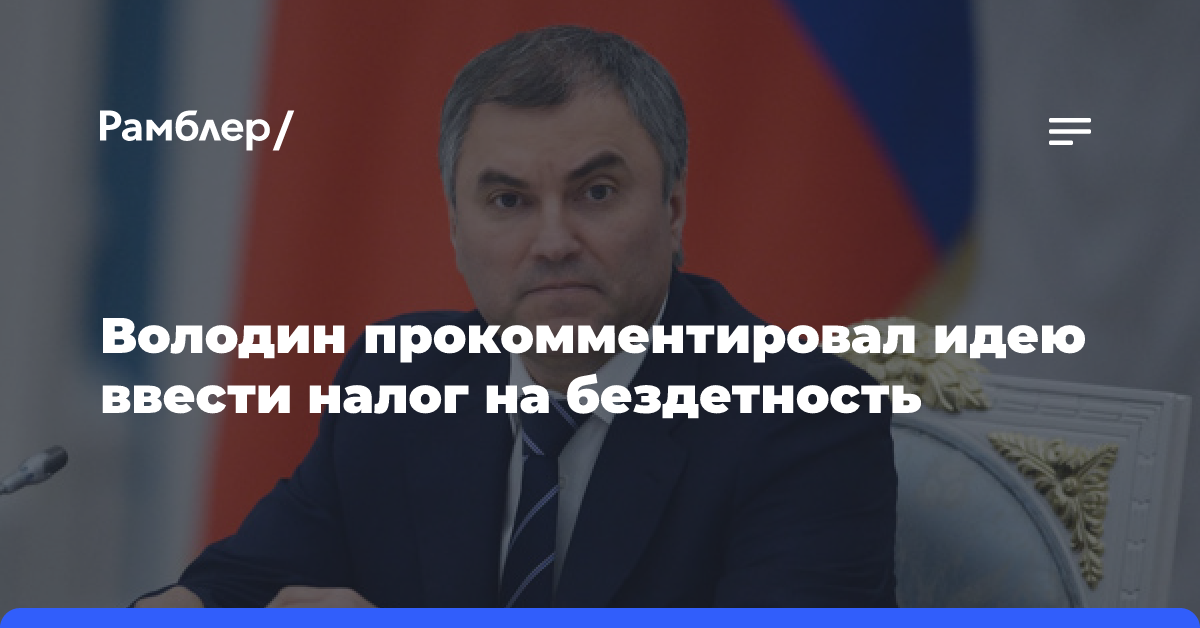 Володин призвал не пугать общество идеями о налоге на бездетность