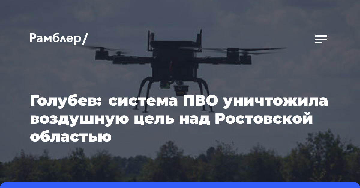 Голубев: система ПВО уничтожила воздушную цель над Ростовской областью