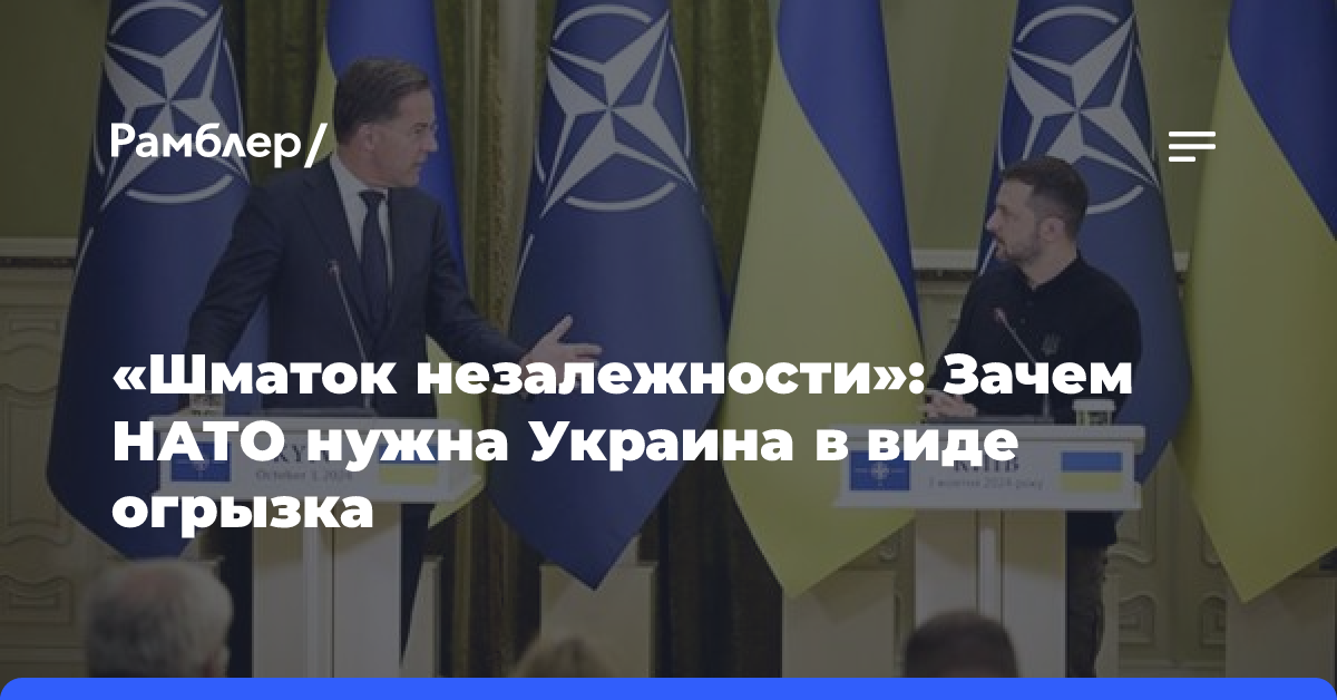 «Шматок незалежности»: Зачем НАТО нужна Украина в виде огрызка