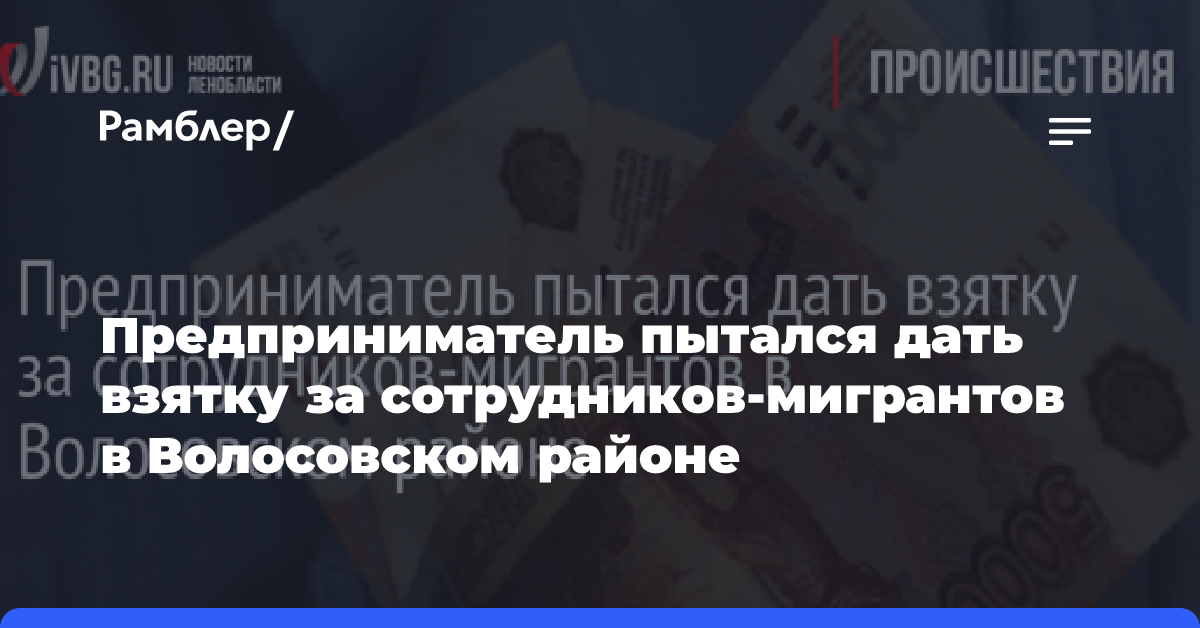 Предприниматель пытался дать взятку за сотрудников-мигрантов в Волосовском районе