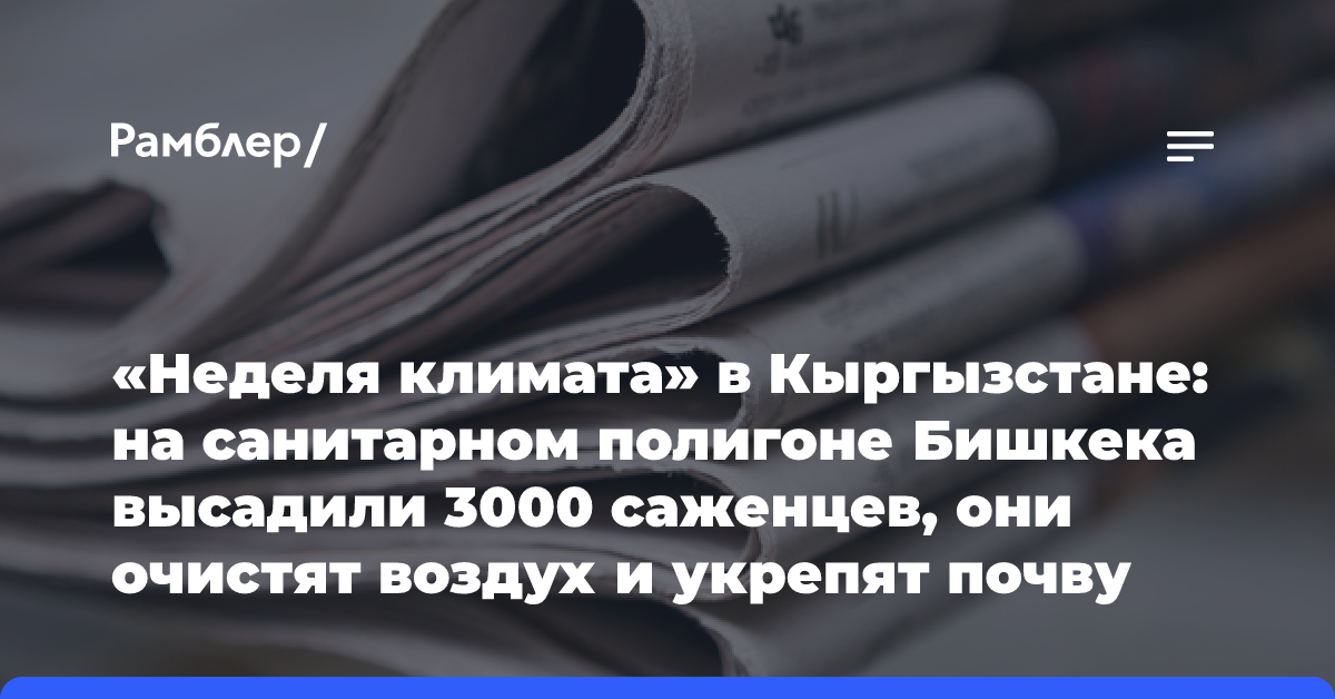 «Неделя климата» в Кыргызстане: на санитарном полигоне Бишкека высадили 3000 саженцев, они очистят воздух и укрепят почву