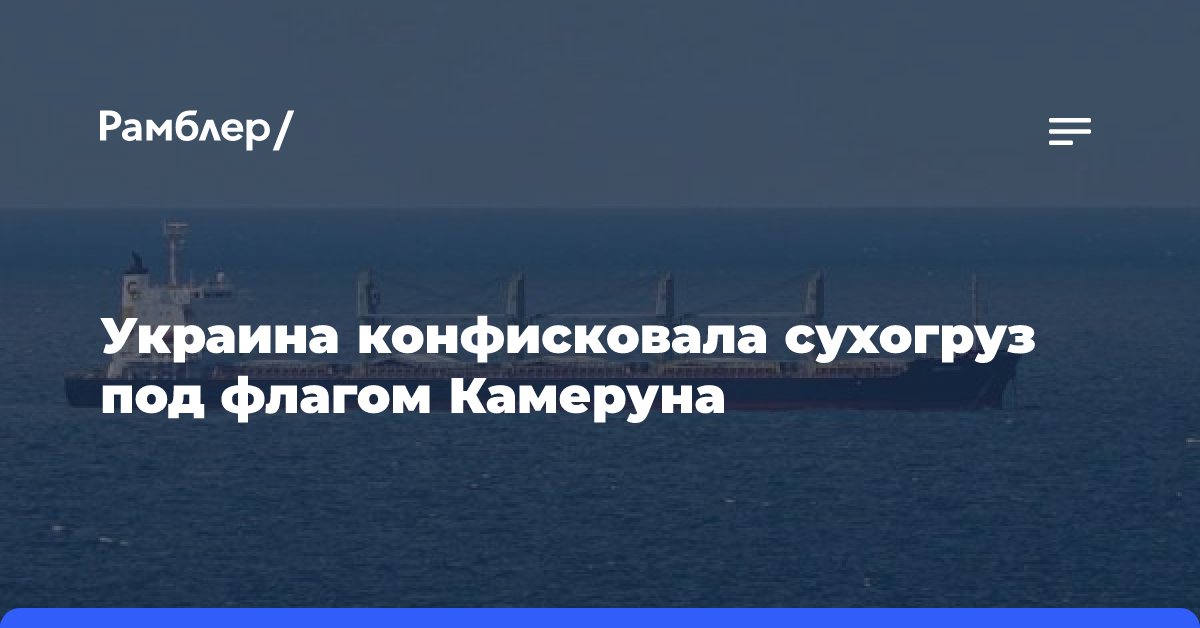 Украина конфисковала сухогруз под флагом Камеруна