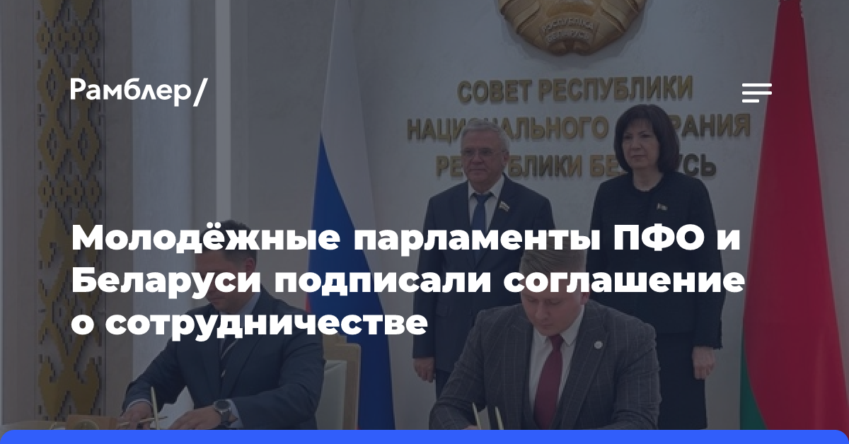 Молодежные парламенты Нижегородской области и Беларуси договорились о сотрудничестве