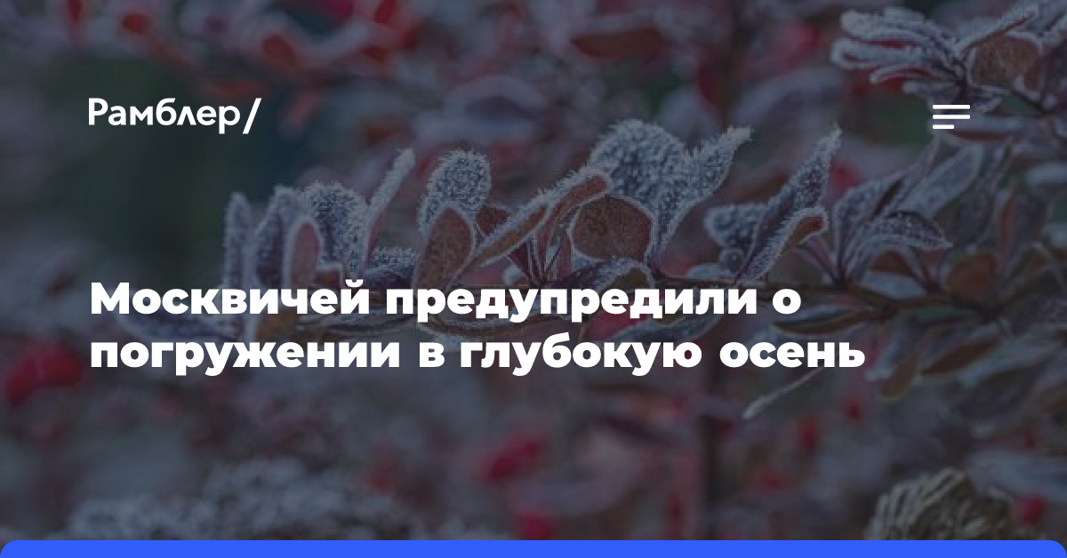 Москвичей предупредили о погружении в глубокую осень