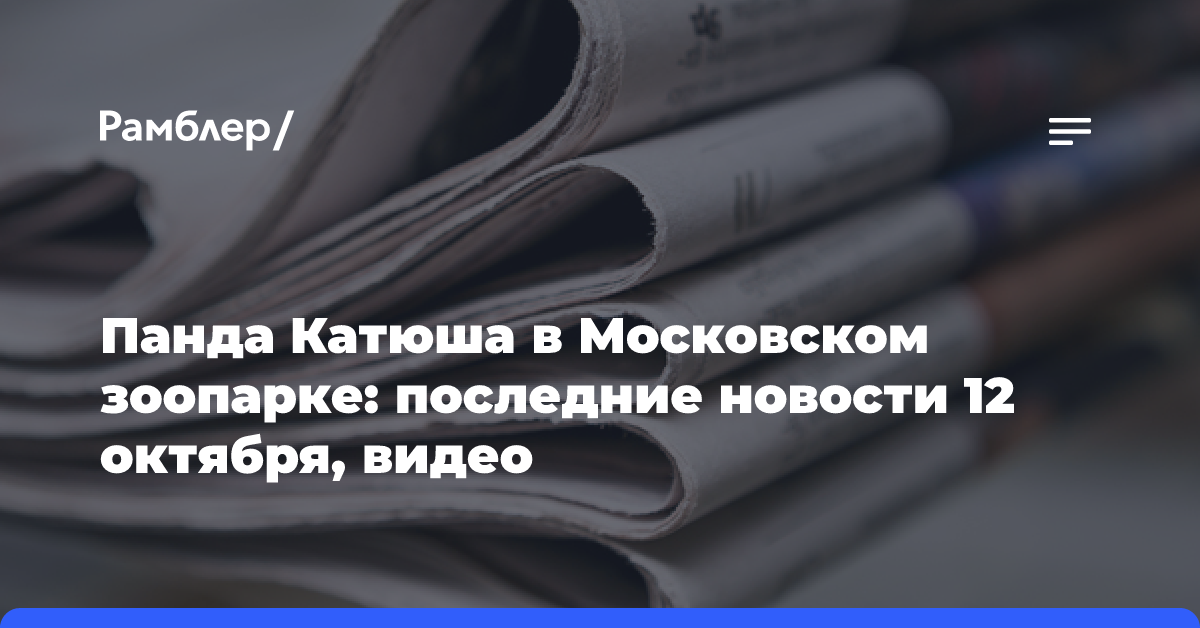 Панда Катюша в Московском зоопарке: последние новости 14 октября, видео