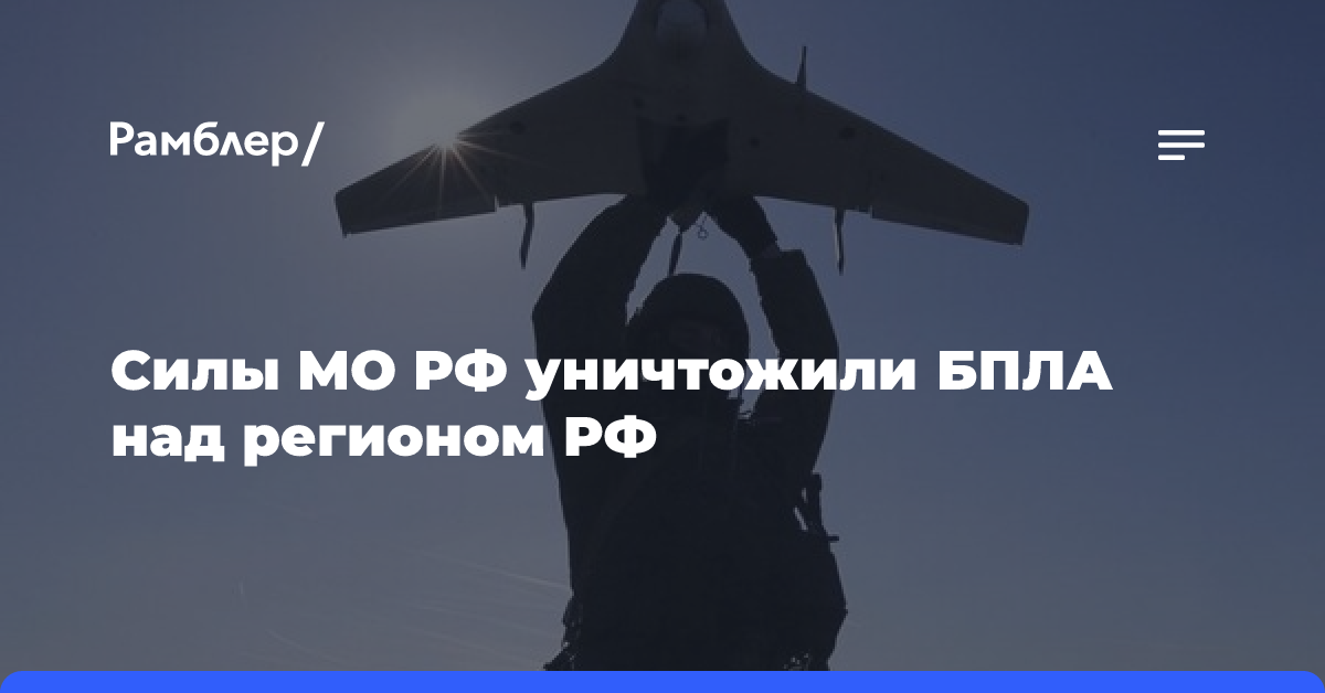 Силы МО РФ уничтожили БПЛА над Брянской областью