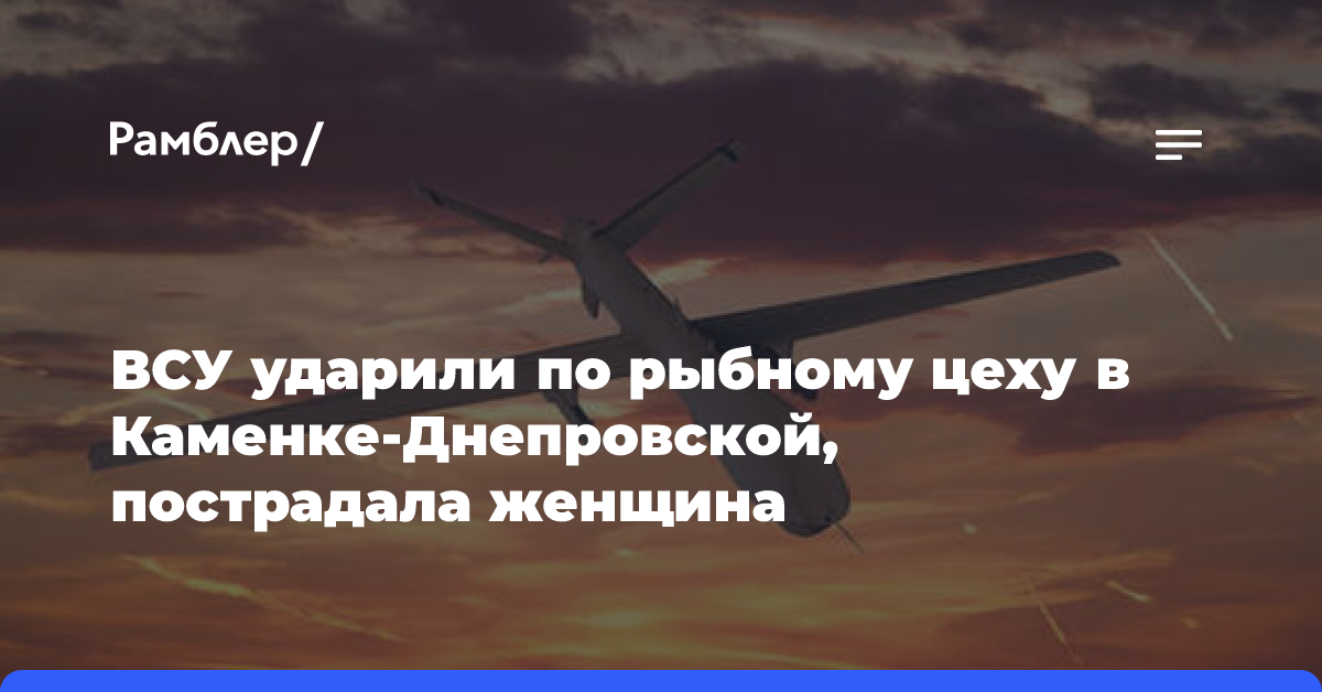 ВСУ ударили по рыбному цеху в Каменке-Днепровской, пострадала женщина