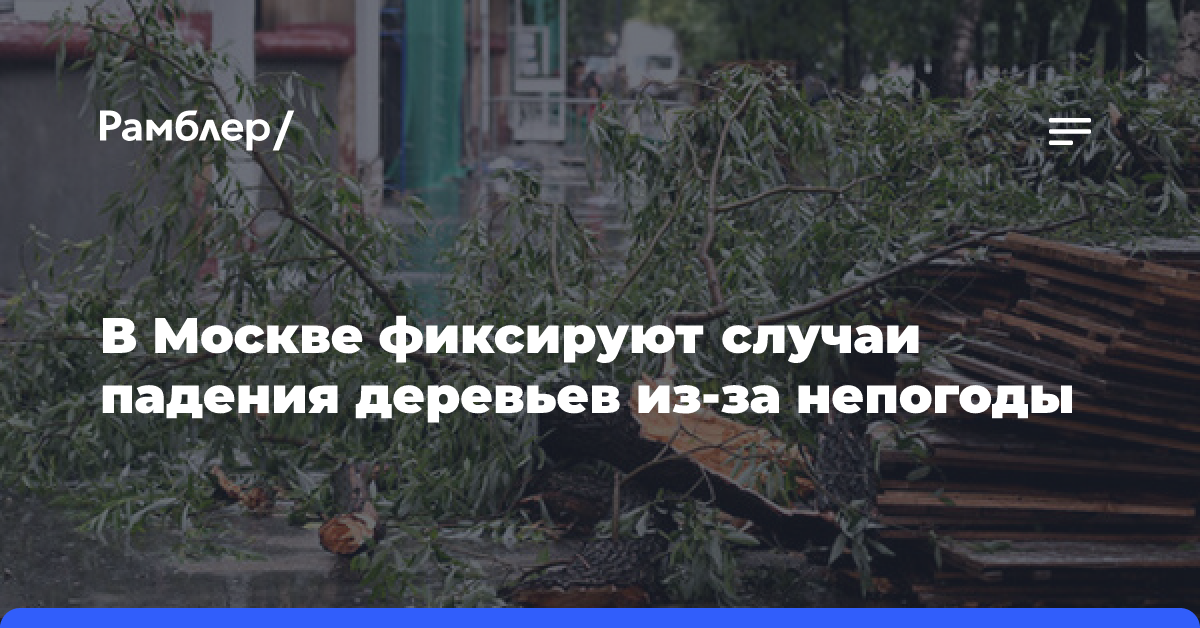 В Москве фиксируют случаи падения деревьев из-за непогоды