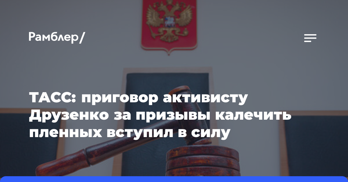 ТАСС: приговор активисту Друзенко за призывы калечить пленных вступил в силу