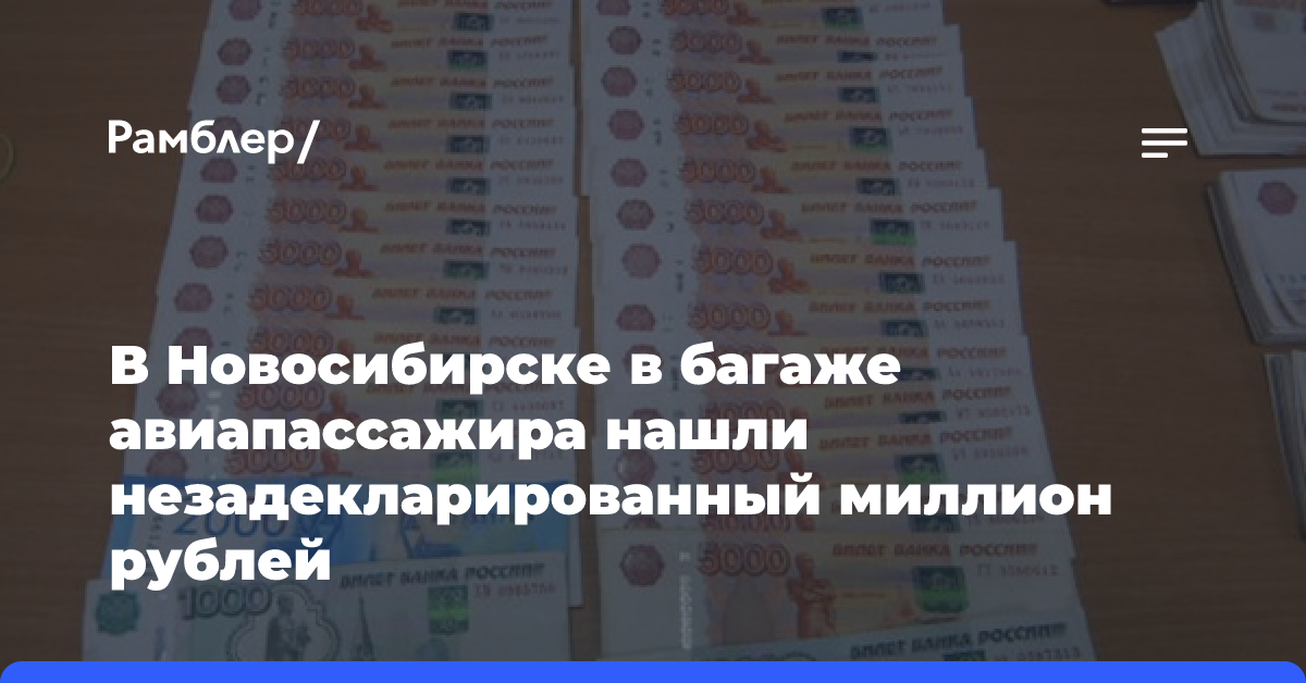 В Новосибирске в багаже авиапассажира нашли незадекларированный миллион рублей