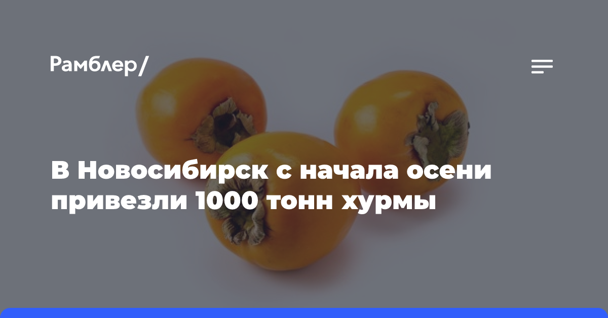 В Новосибирск с начала осени привезли 1000 тонн хурмы