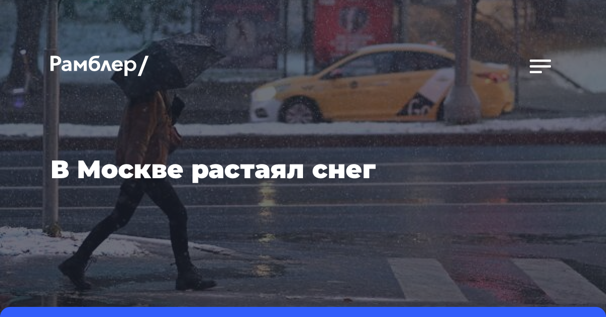 В Москве растаял снег