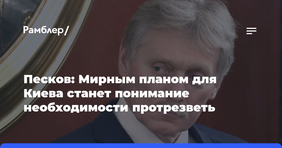 Песков: Мирным планом для Киева станет понимание необходимости протрезветь