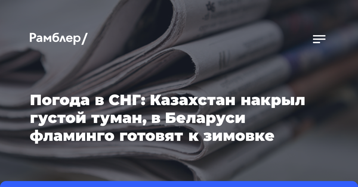 Погода в СНГ: Казахстан накрыл густой туман, в Беларуси фламинго готовят к зимовке