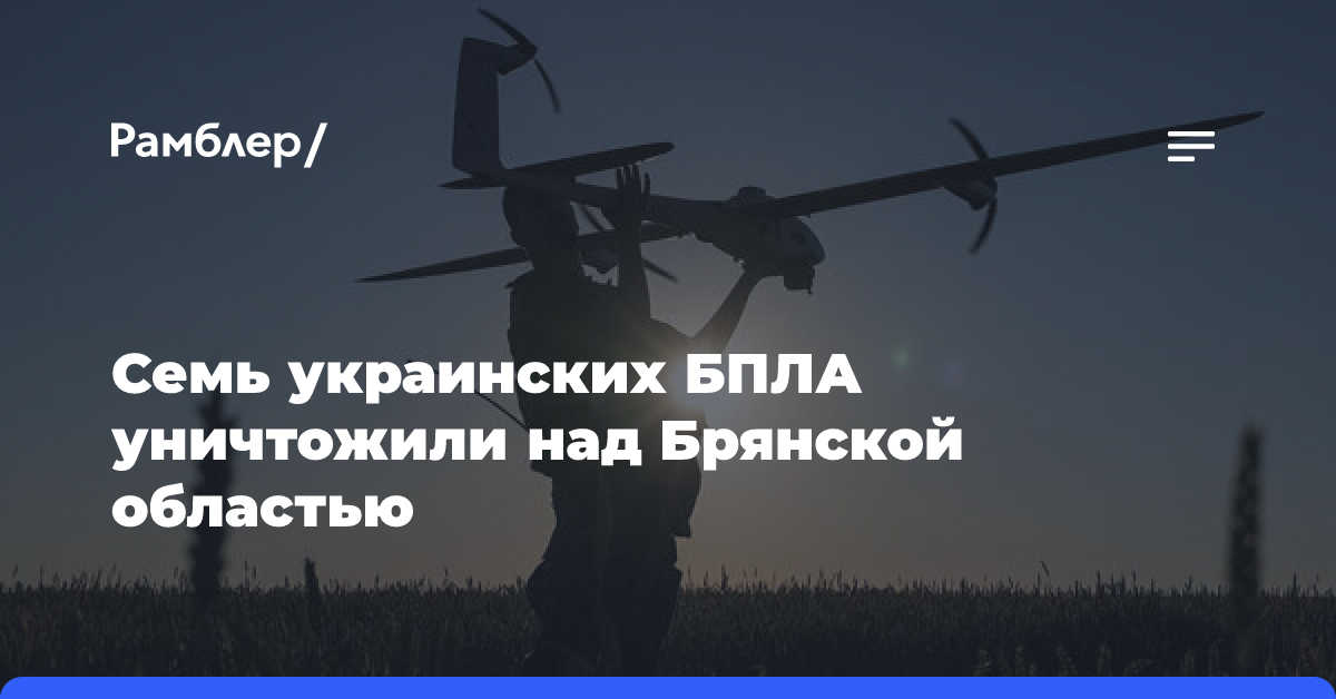 Богомаз: над Брянской областью ликвидировали семь украинских дронов