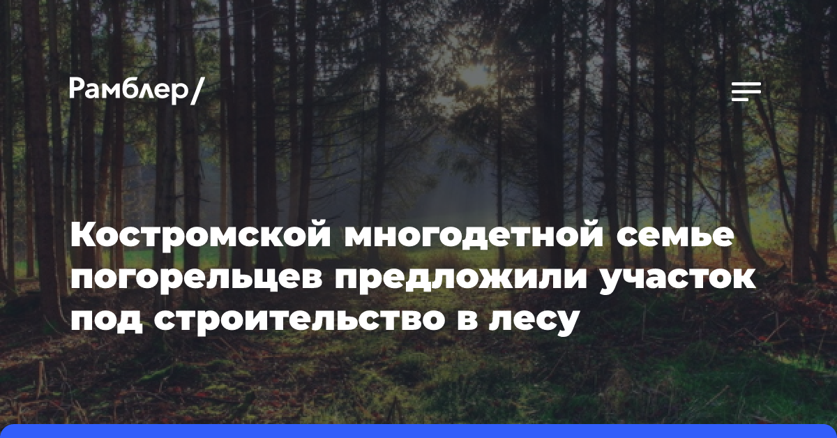 Костромской многодетной семье погорельцев предложили участок под строительство в лесу