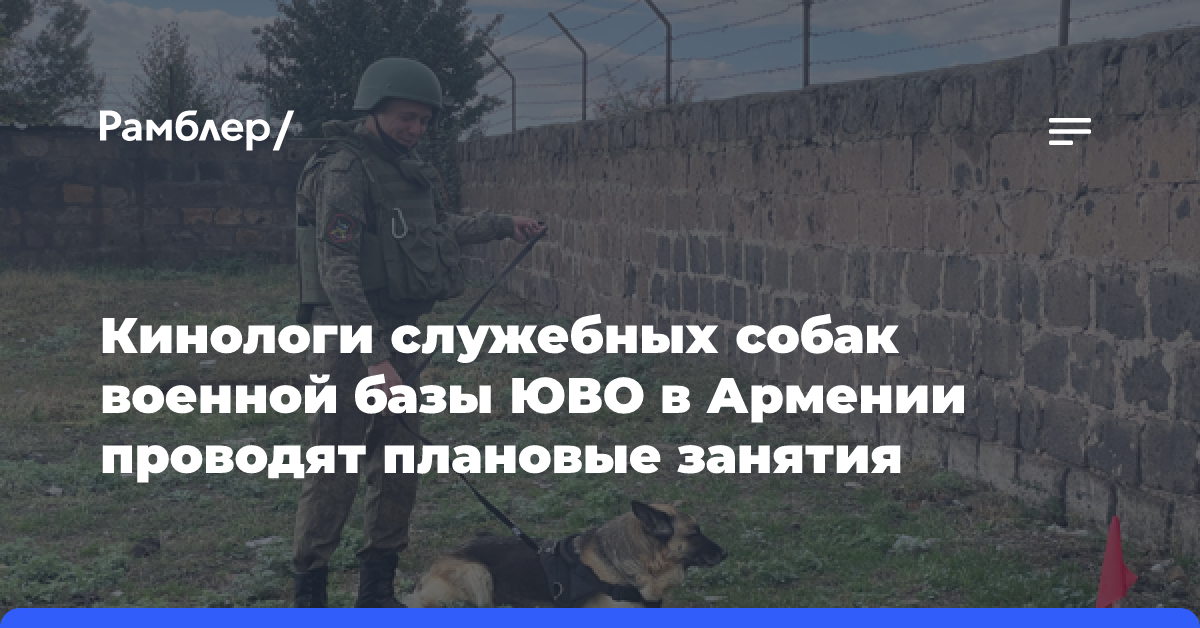 Кинологи служебных собак военной базы ЮВО в Армении проводят плановые занятия