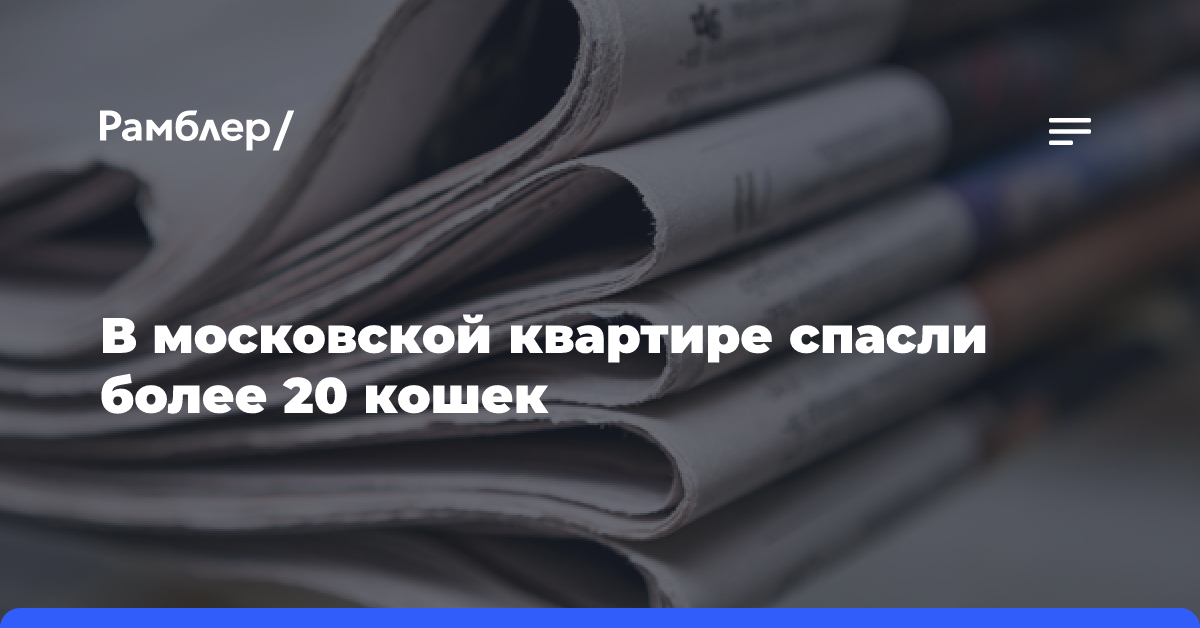 В московской квартире спасли более 20 кошек