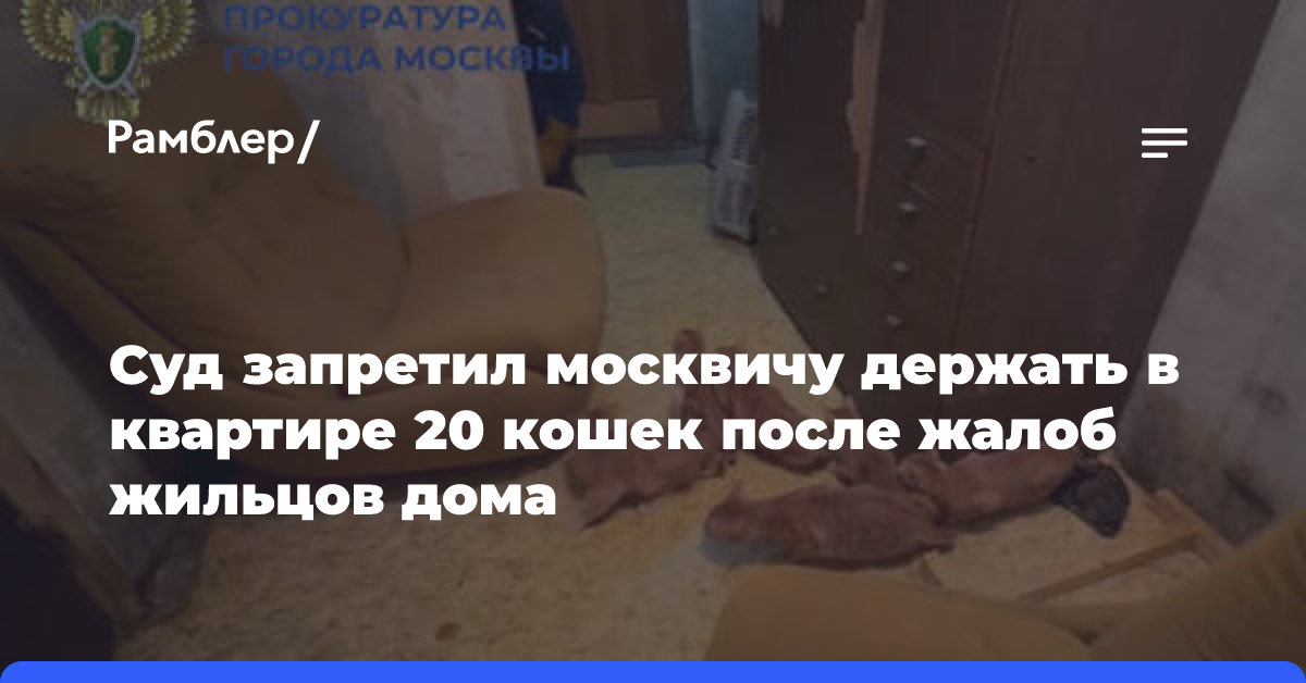 Суд запретил москвичу держать в квартире 20 кошек после жалоб жильцов дома