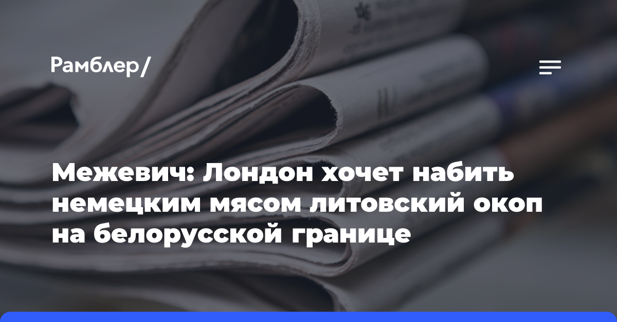 Межевич: Лондон хочет набить немецким мясом литовский окоп на белорусской границе