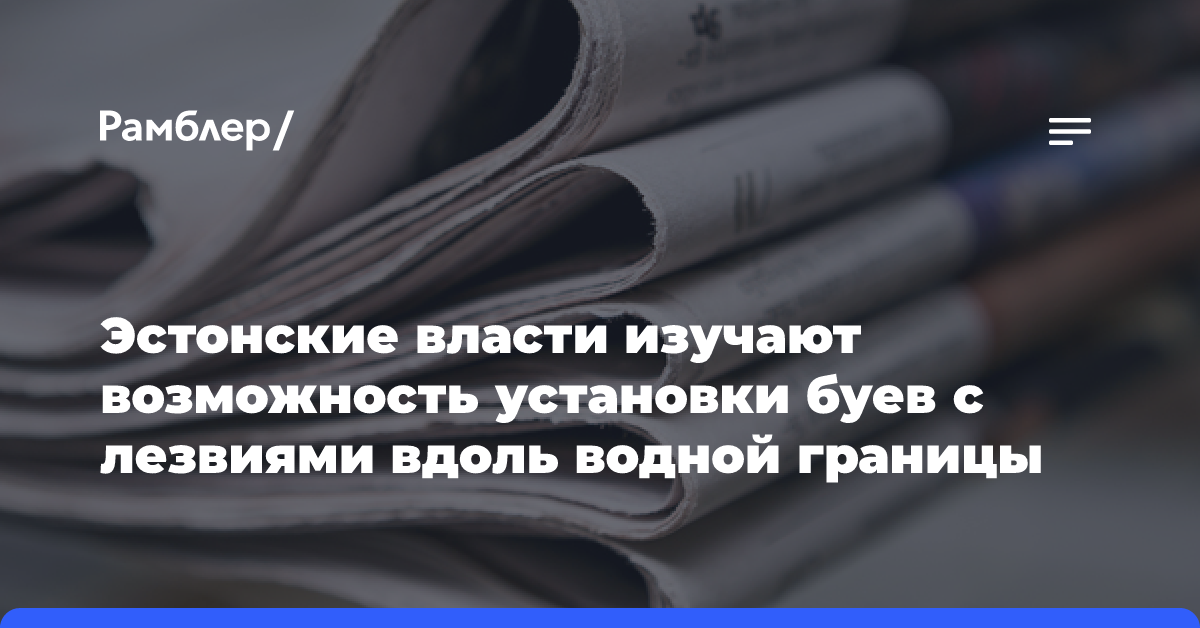 Эстонские власти изучают возможность установки буев с лезвиями вдоль водной границы