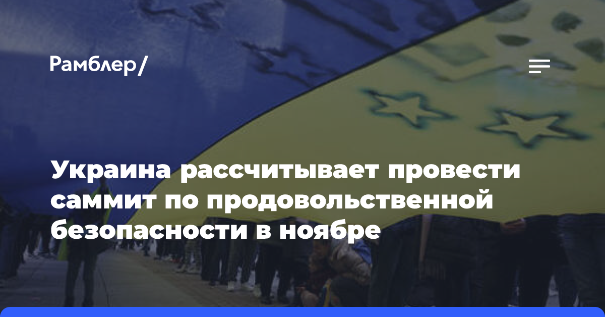 Украина рассчитывает провести саммит по продовольственной безопасности в ноябре