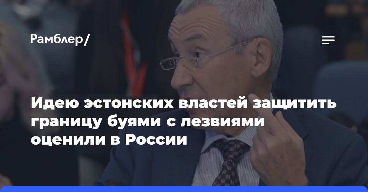 Идею эстонских властей защитить границу буями с лезвиями оценили в России