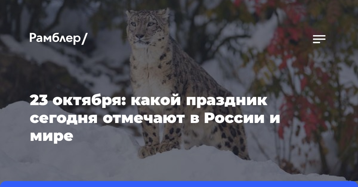 23 октября: какой праздник сегодня отмечают в России и мире