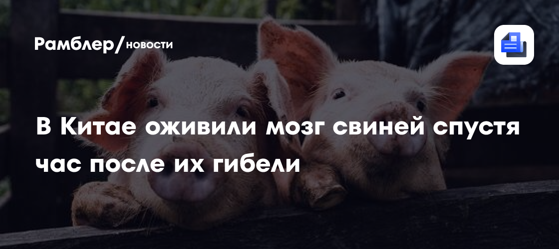 умирают ли клетки мозга при чихании
