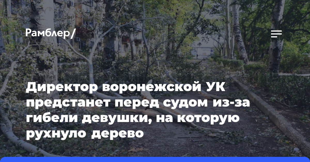 Директор воронежской УК предстанет перед судом из-за гибели девушки, на которую рухнуло дерево