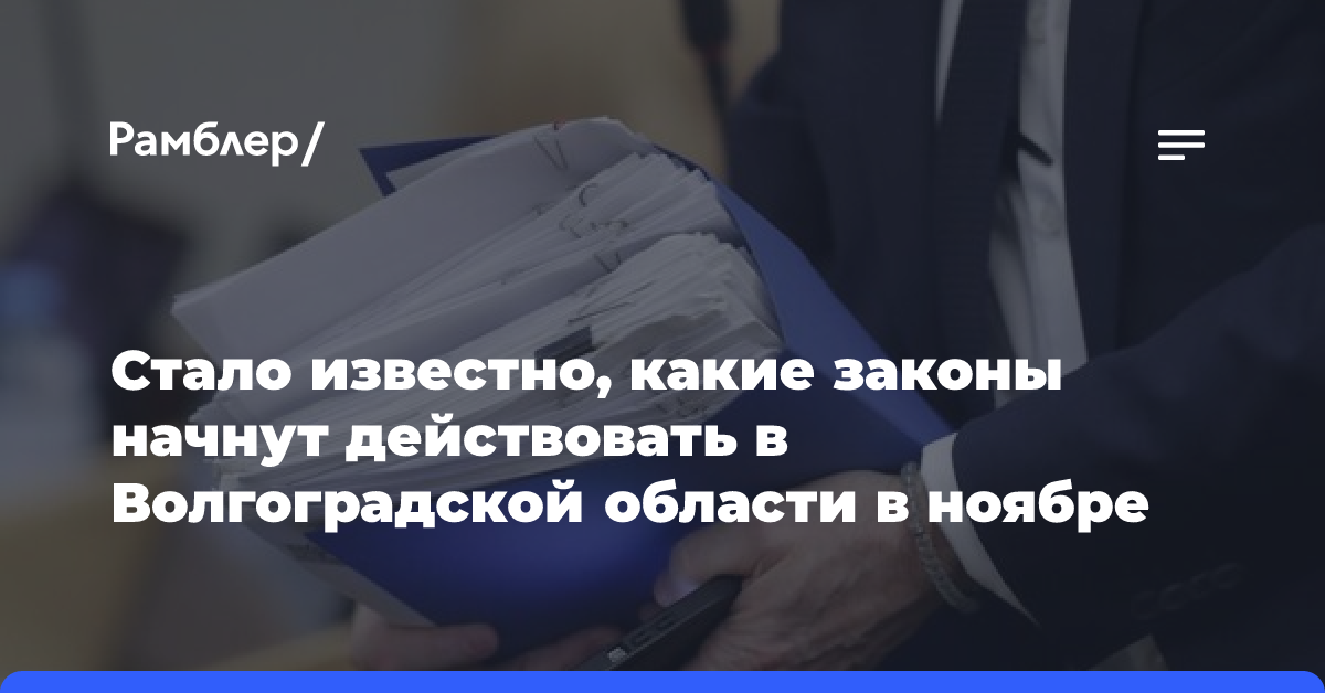 Стало известно, какие законы начнут действовать в Волгоградской области в ноябре