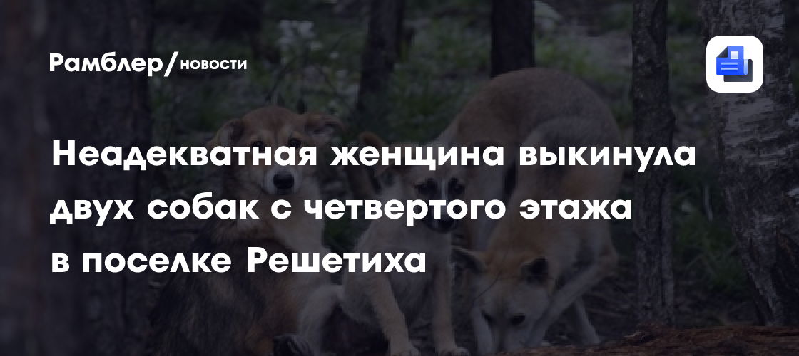 Неадекватная женщина выкинула двух собак с четвертого этажа в поселке Решетиха